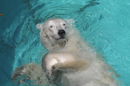 5月19日~浜松市動物園・キロル~昼から15時過ぎ