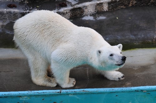 5月19日~浜松市動物園・キロル~15時過ぎから閉園まで