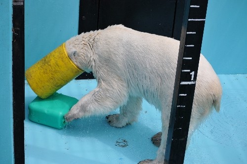 6月27日~おびひろ動物園・イコロ~12時台から15時まで