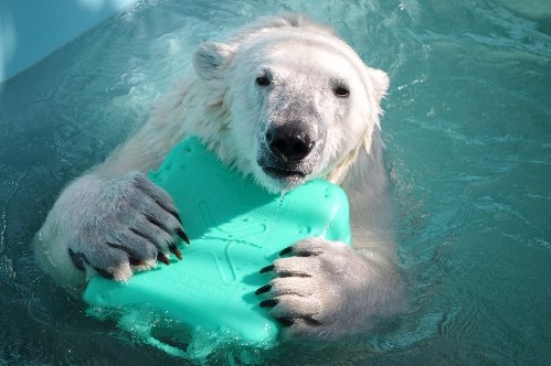 6月27日~おびひろ動物園・イコロ~15時から閉園まで