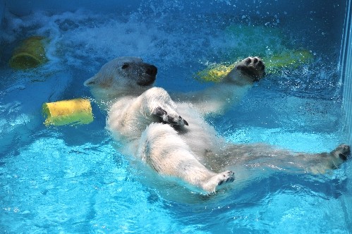 6月26日~おびひろ動物園・イコロ~開園から11時まで