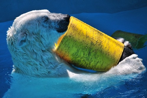6月26日~おびひろ動物園・イコロ~12時過ぎから13時まで