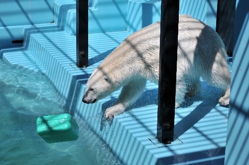 6月25日~おびひろ動物園・イコロ~14時から15時過ぎ