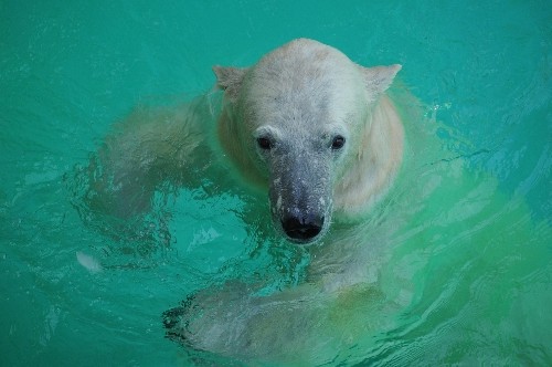 7月25日~浜松市動物園・キロル~13時台から15時台