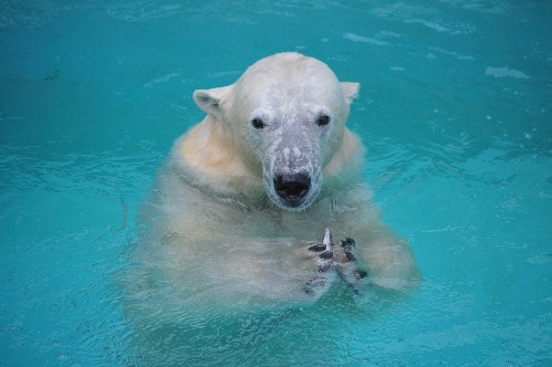 ７月２４日～浜松市動物園・キロル～１５時から閉園まで