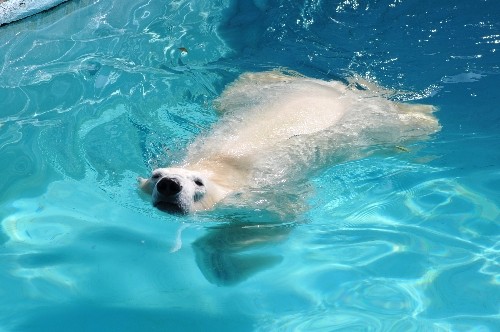 ７月２３日～浜松市動物園・キロル～開園から１０時半まで