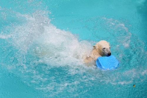７月２３日～浜松市動物園・キロル～１３時台