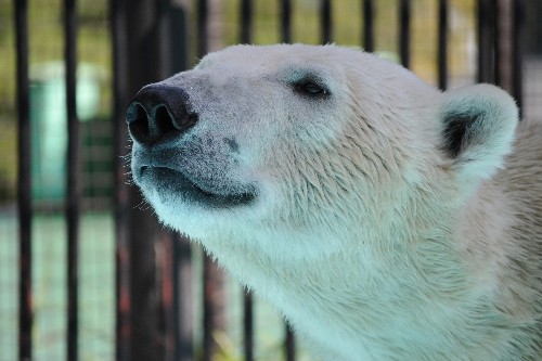 8月28日~おびひろ動物園・イコロ~11時から12時過ぎまで