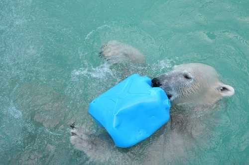 8月28日~おびひろ動物園・イコロ~14時から15時半