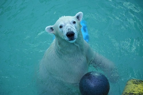 8月28日~おびひろ動物園・イコロ~15時半から閉園まで