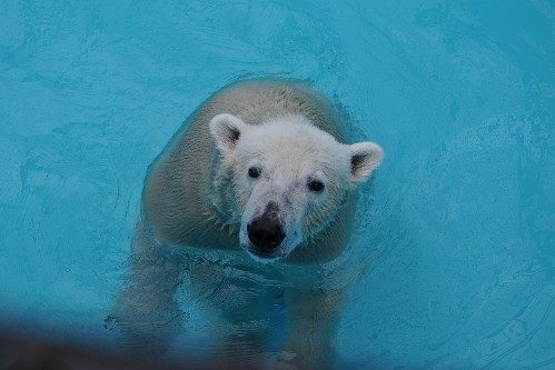 8月26日~おびひろ動物園・イコロ~13時台