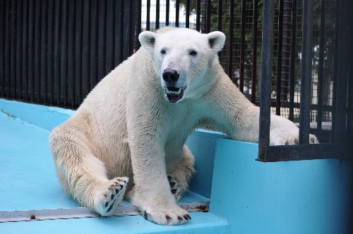 8月26日~おびひろ動物園・イコロ~14時台