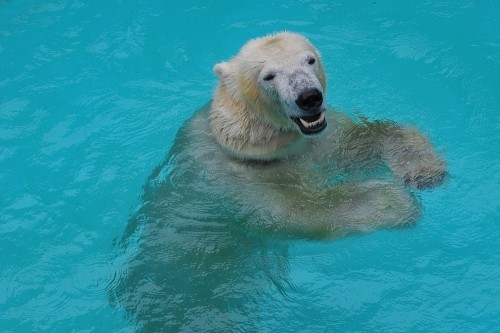 9月26日~浜松市動物園・キロル~おやつタイム♪
