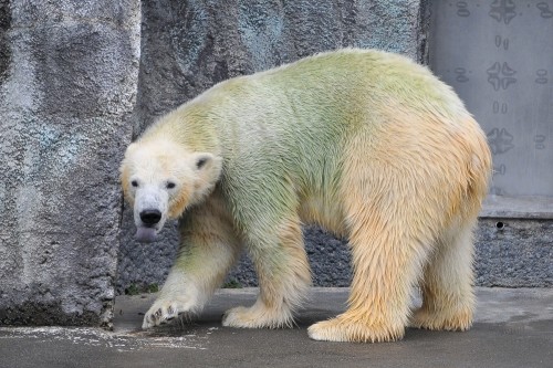 9月26日~浜松市動物園・キロル~おやつタイムの後・・・