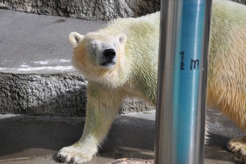 9月25日~浜松市動物園・キロル~9時台