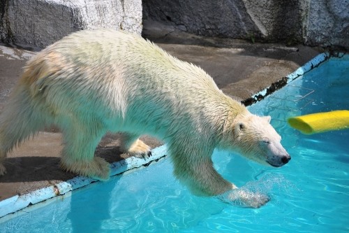 9月25日~浜松市動物園・キロル~10時台