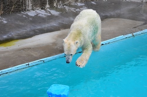 9月25日~浜松市動物園・キロル~まだ10時台