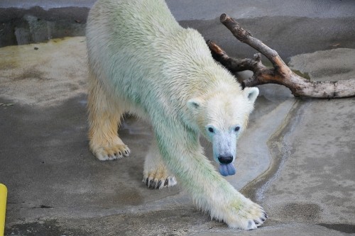 9月25日~浜松市動物園・キロル~11時から12時台