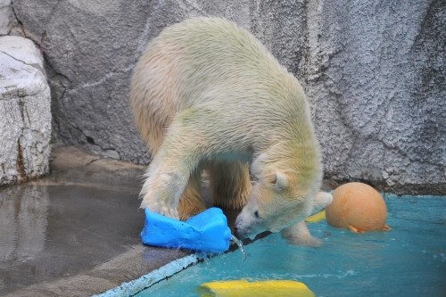 9月25日~浜松市動物園・キロル~13時前から15時過ぎ