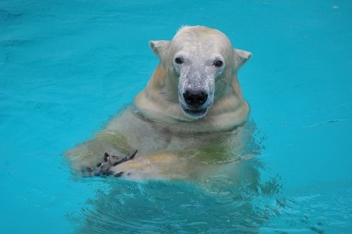 9月25日~浜松市動物園・キロル~おやつタイムから帰宅まで