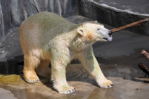 9月24日~浜松市動物園・キロル~9時台