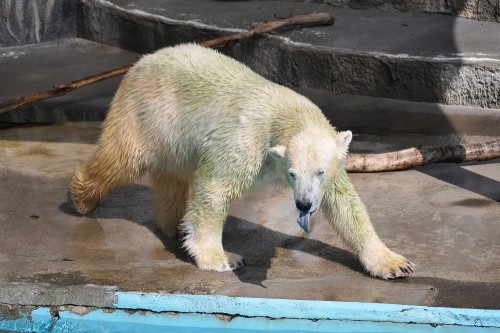 9月24日~浜松市動物園・キロル~10時頃から11時まで