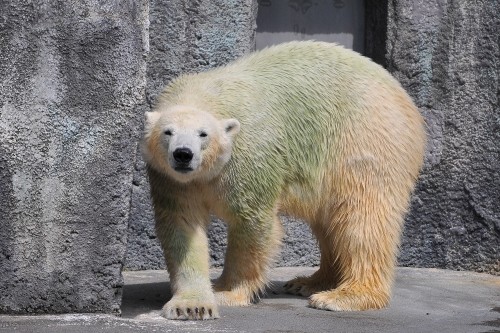 9月24日~浜松市動物園・キロル~11時から13時頃まで