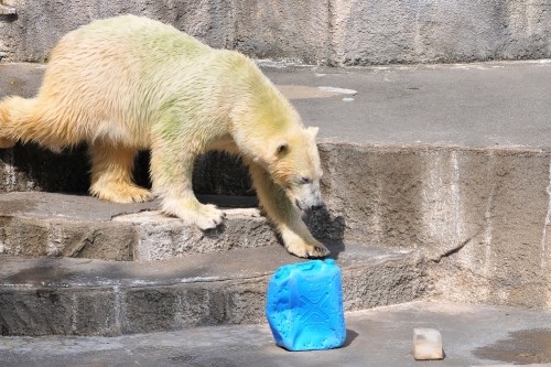 9月24日~浜松市動物園・キロル~13時台前半