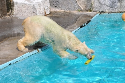 9月24日~浜松市動物園・キロル~13時台から15時過ぎ