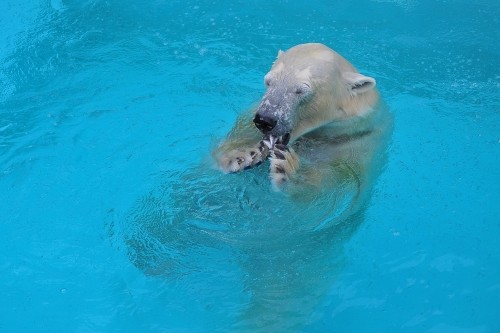 9月24日~浜松市動物園・キロル~おやつタイム