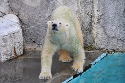 9月24日~浜松市動物園・キロル~15時台から帰宅まで