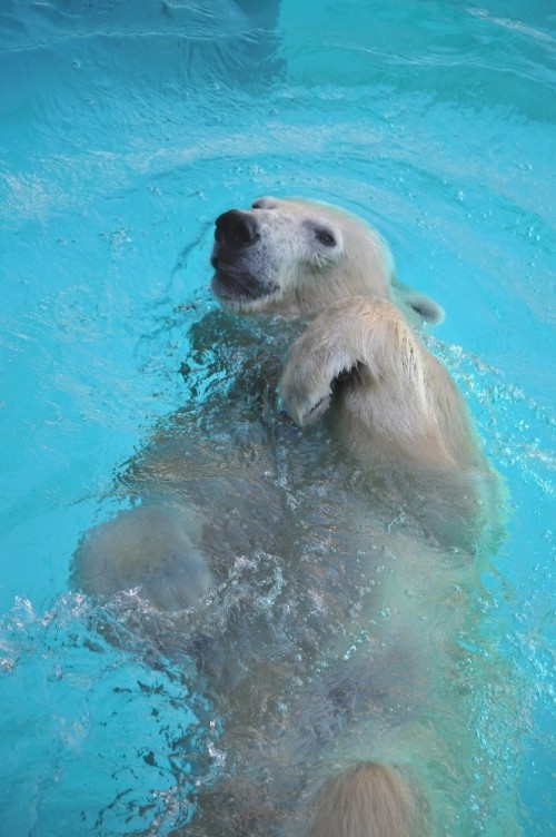 ９月２３日～浜松市動物園・キロル～１３時台から１５時台