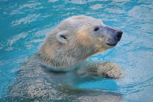 9月23日~浜松市動物園・キロル~15時台