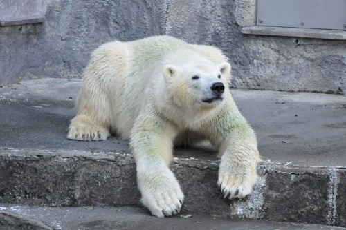 9月23日~浜松市動物園・キロル~16時台