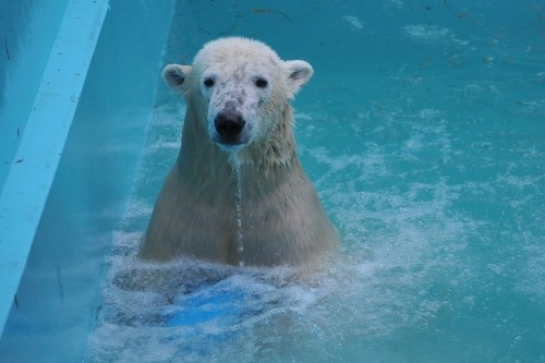 １０月２２日～おびひろ動物園・イコロ～閉園まで