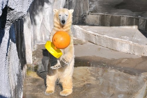 12月10日~今日のキロル