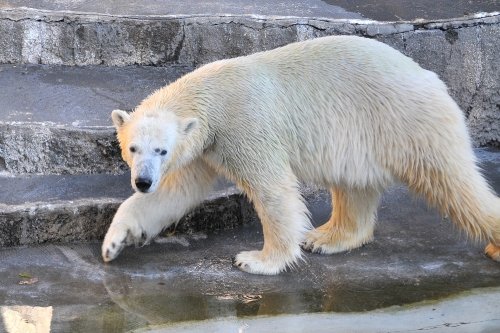 12月11日~浜松市動物園・キロル~9時台から10時台