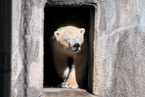 12月11日~浜松市動物園・キロル~11時台(お誕生会)