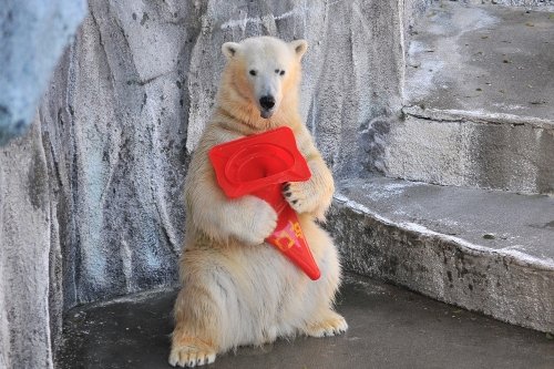 12月11日~浜松市動物園・キロル~11時台から12時台
