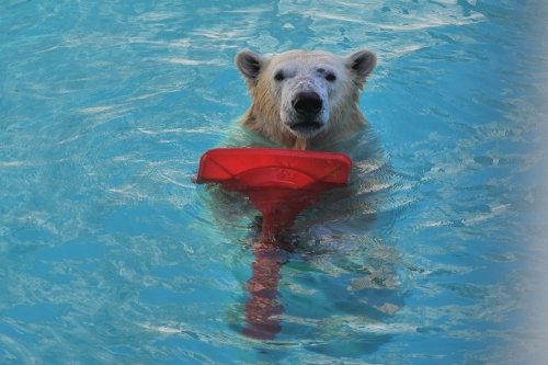 12月11日~浜松市動物園・キロル~12時台・続き