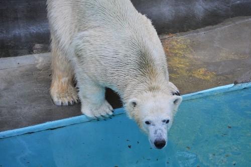 １２月１１日～浜松市動物園・キロル～おやつタイムとその後