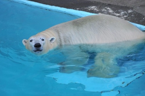 １２月１０日～浜松市動物園・キロル～おやつタイム以降