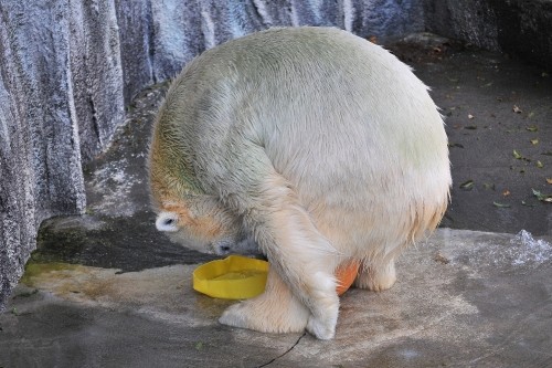 12月9日~浜松市動物園・キロル~ほぼ12時台