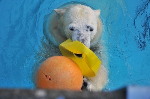 12月9日~浜松市動物園・キロル~14時台から15時台