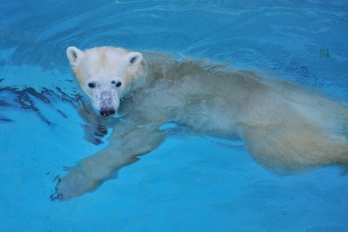 12月9日~浜松市動物園・キロル~15時台から閉園まで