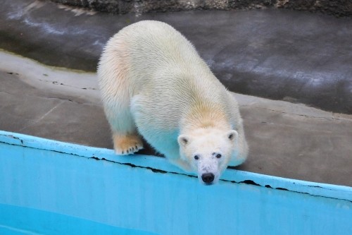 12月8日~浜松市動物園・キロル~おやつタイム以降