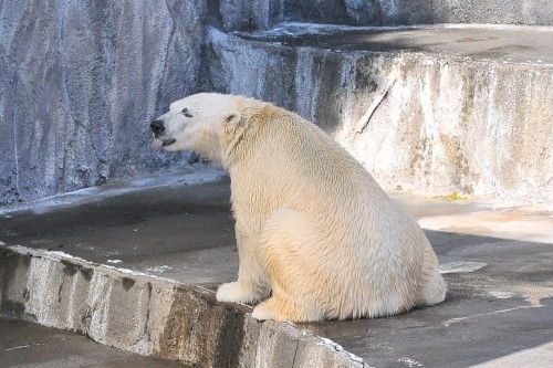 ２月９日～浜松市動物園・キロル～１１時台から１３時台