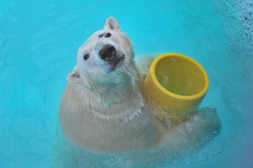 ２月９日～浜松市動物園・キロル～１３時台から１４時台