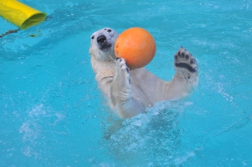 ２月９日～浜松市動物園・キロル～１４時台から閉園まで
