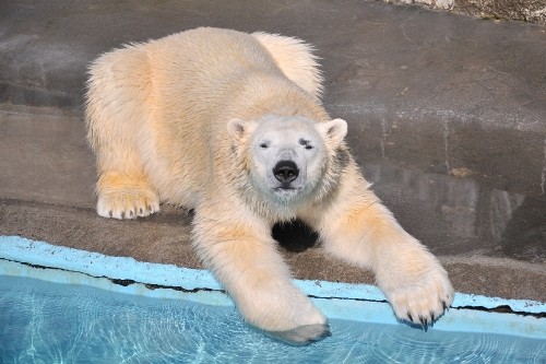 ２月１０日～浜松市動物園・キロル～１０時台から１１時台